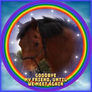 Meet your Posher, Paula